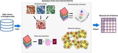 Review: Cancer and neurodevelopmental disorders: multi-scale reasoning and computational guide
